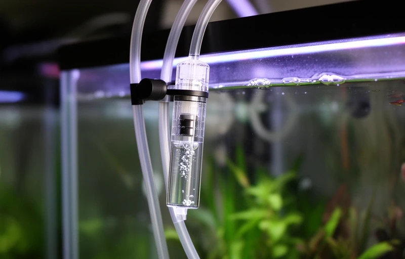 CO2添加テスト中の60cm水槽